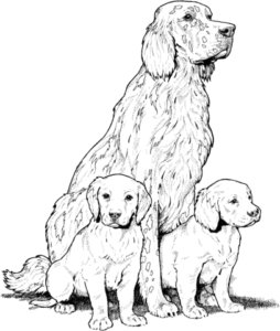 Labrador-with-puppies-coloring-page