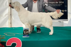 439442559_17897528333994347_3878617028966973127_n