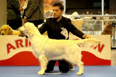 India-Expo-Malaga