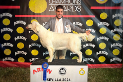 India-Sevilla-2024-CCJ