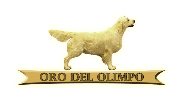 Oro del Olimpo